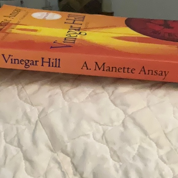 SOLD==Vinegar Hill. A Novel. A. Manette Ansay - Picture 6 of 8